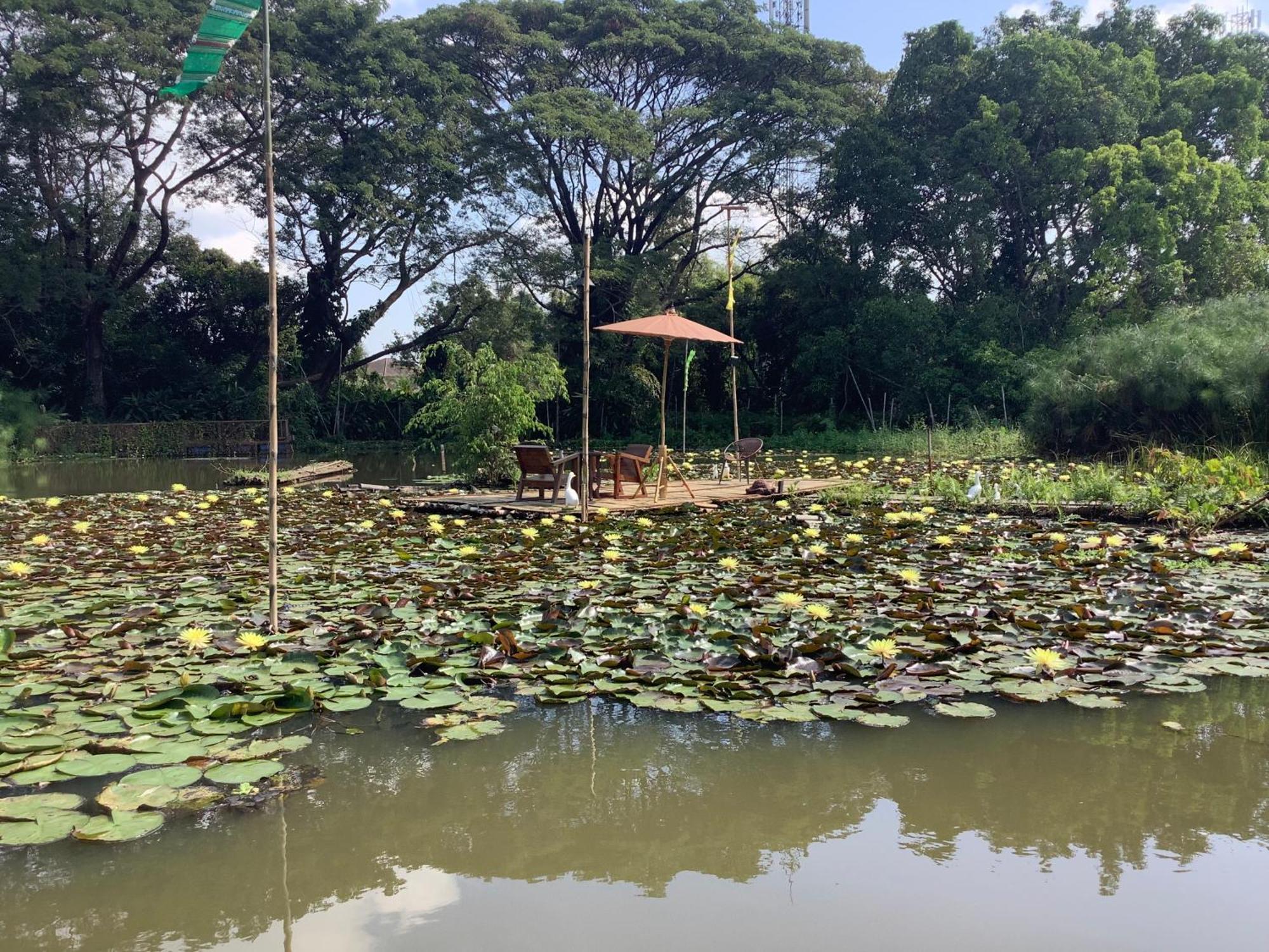Saikaew Resort Chiang Rai Eksteriør billede