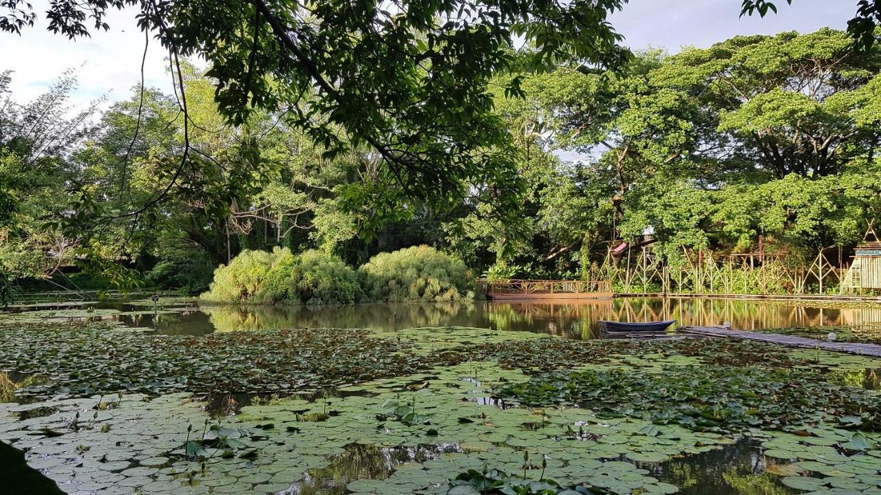 Saikaew Resort Chiang Rai Eksteriør billede